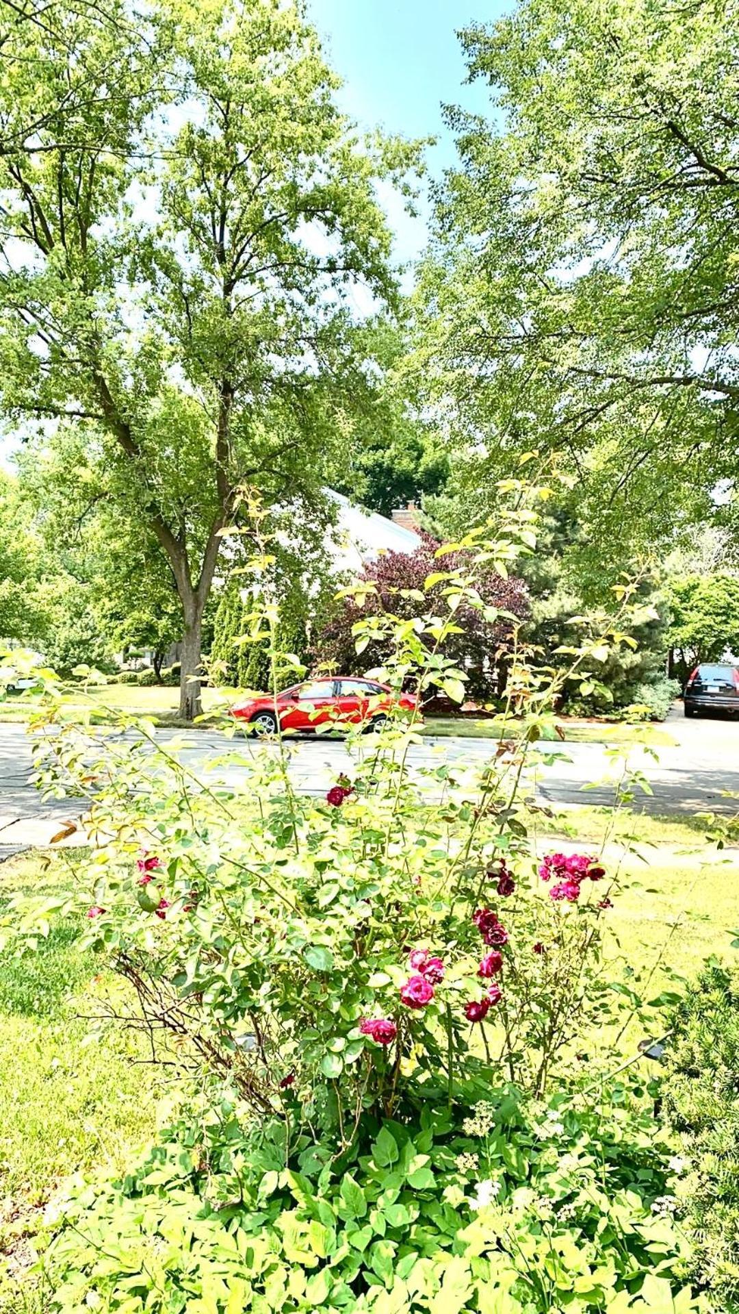 B4 A Private In Downtown With Desk And Wi-fi Near Everything Habitación en casa particular *